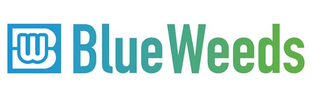 EQリーグ BlueWeeds（N-weed/blueskywalkers）
