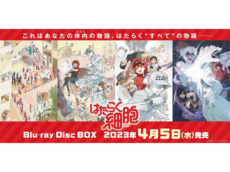 4/5発売のアニメ『はたらく細胞』Blu-ray Disc BOX、吉田隆彦描き 